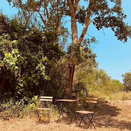 Private Eco Glamping In Alfambras Lüks kamp alanı Aljezur